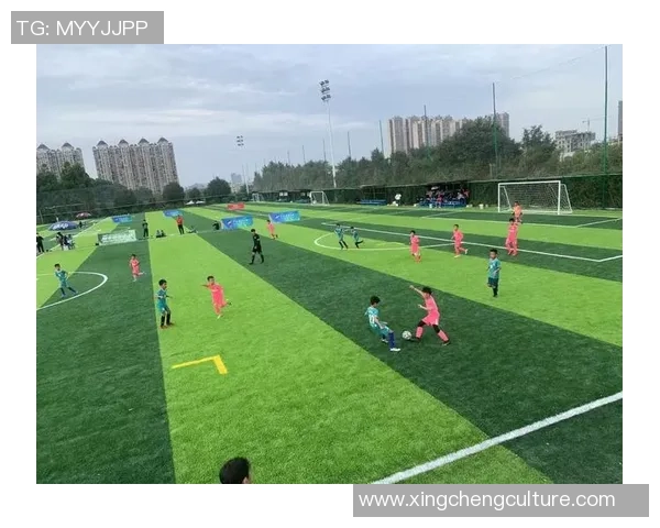 球星私人足球场揭秘 每一寸草地都见证着他们的荣耀与汗水